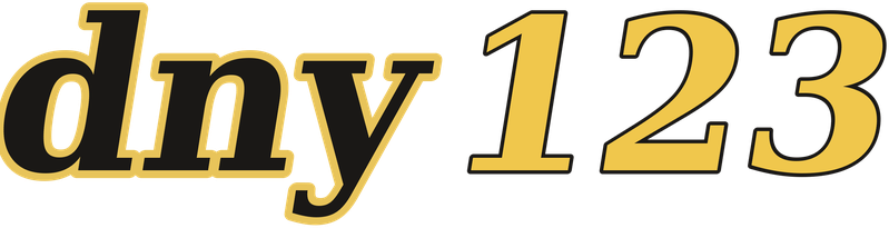 dny123 logo